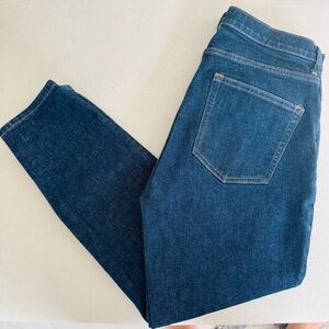 Everlane dark denim ankle skinny jeans